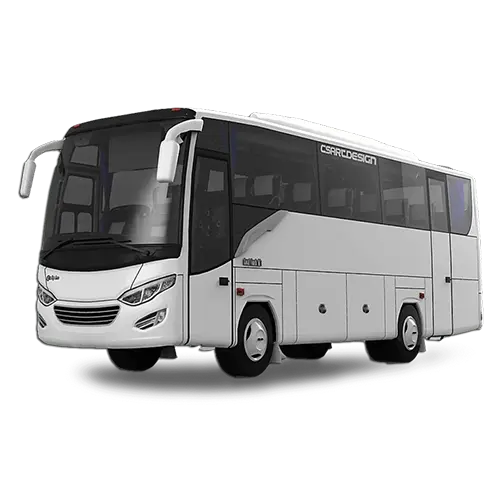 sewa bus medium